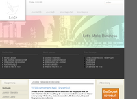 IBSI-US.COM Affordable Custom Web site design Tampa Florida